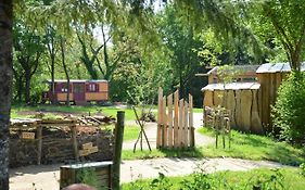 Le camp du fauconnier